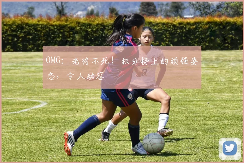 OMG：老将不死！积分榜上的顽强姿态，令人动容